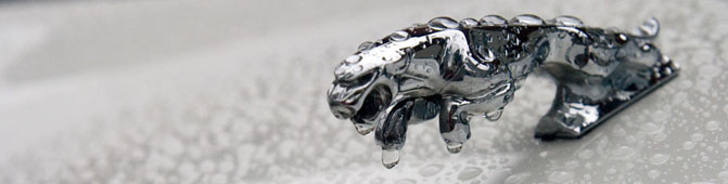 Jaguar