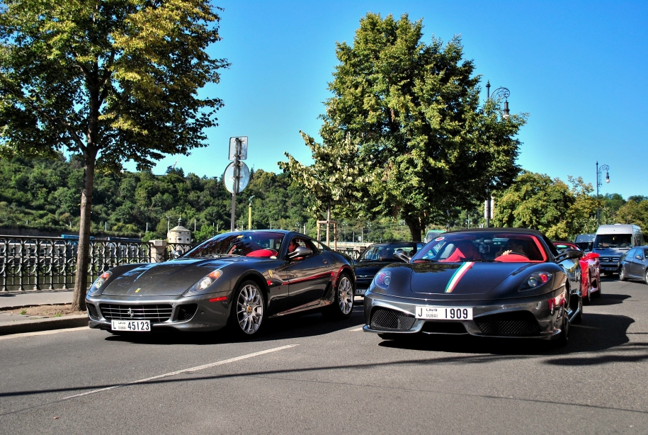 16M and Fiorano