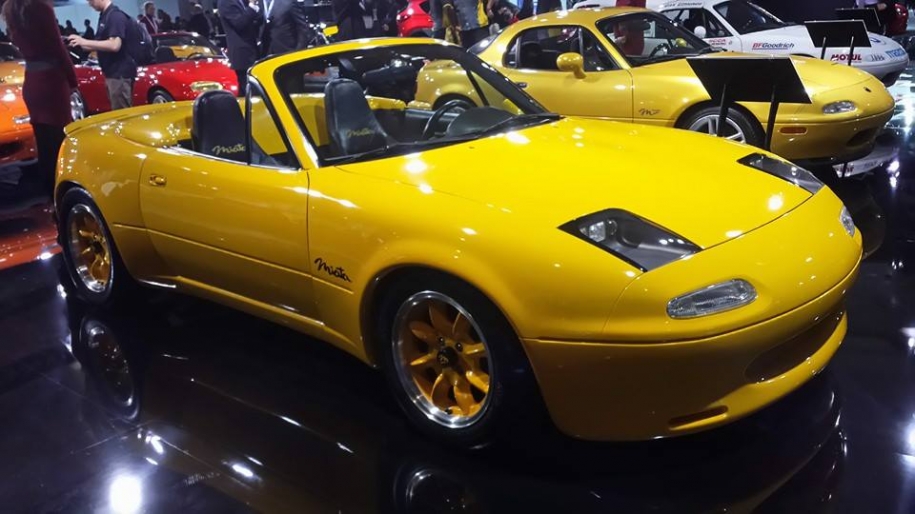 10262267_10201809532466012_6390267077269098690_n