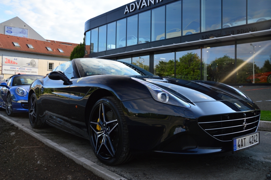 Advantage Season Opening 7