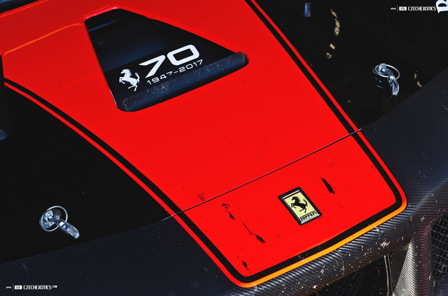 DSC_4556