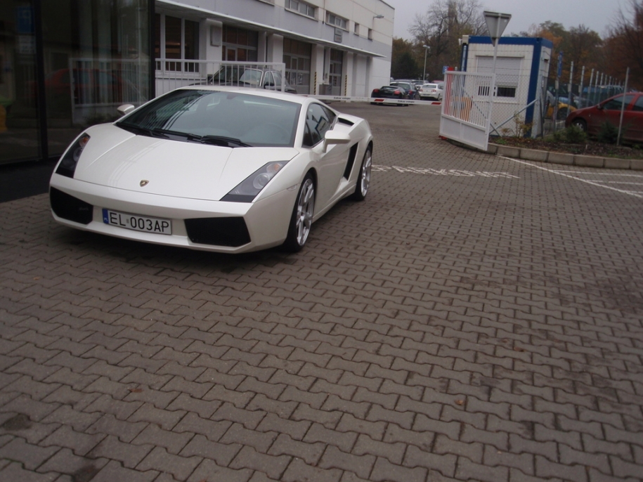 Gallardo