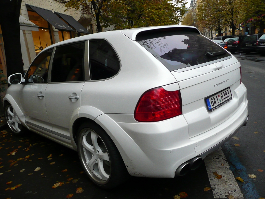 Cayenne techart magnum