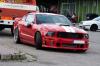 Chudinka Mustang