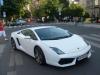 LP560