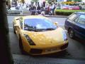 Gallardo