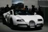 zemik_geneva_2011_49