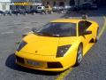 Murcielago