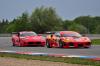 Watermark_207