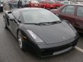 Gallardo