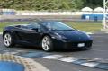 Gallardo