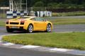 Gallardo