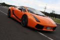 Gallardo