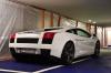 Gallardo