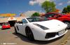 Gallardo