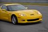 Watermark_172