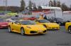 Watermark_102