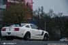 Roush 427R Trak Pak