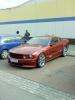 Mustang Saleen