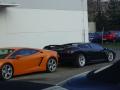 Gallardo & Diablo