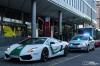 Gallardo