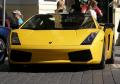 gallardo-se-6