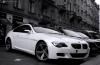 BMW M6