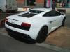 LP560