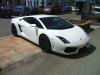 LP560