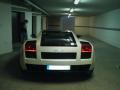 gallardo se