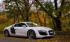 R8